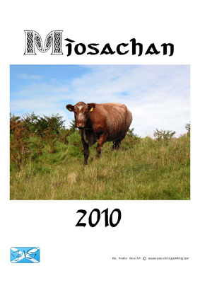 miosachan2010_01.jpg