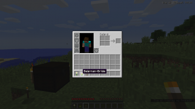 minecraft-screenshot2.png