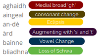sg-dialect-survey.png